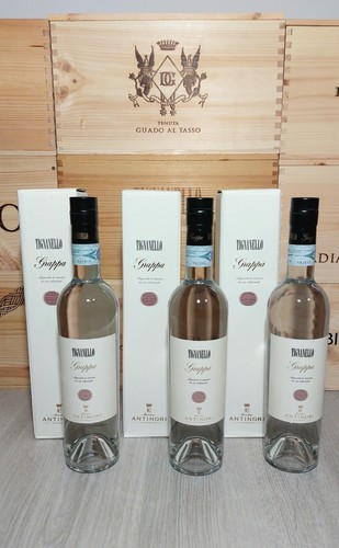 Antinori grappa tignanello - antinori, –