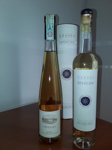 Grappa sassicaia 1 - grappa,