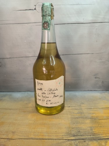 Romano levi grappa - levi,